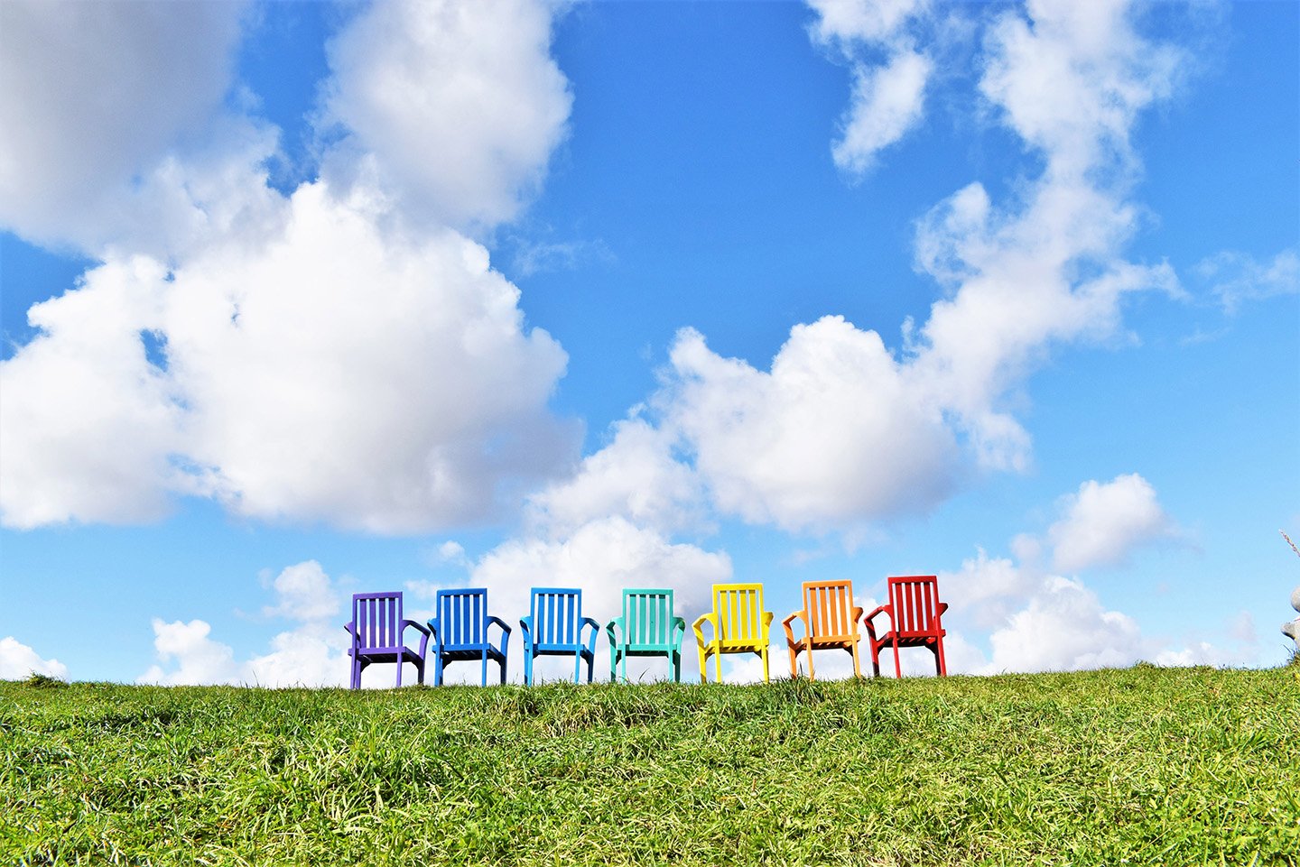 🌿 우에노 팜(우에노 파무) 이미지 8